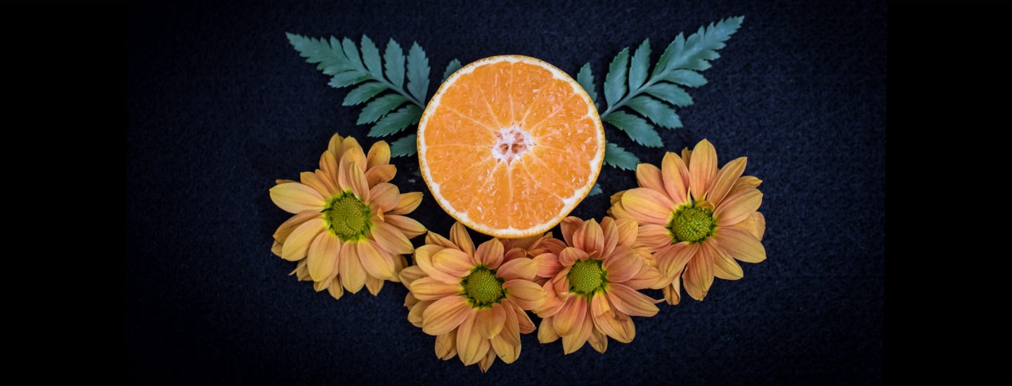 clementine season