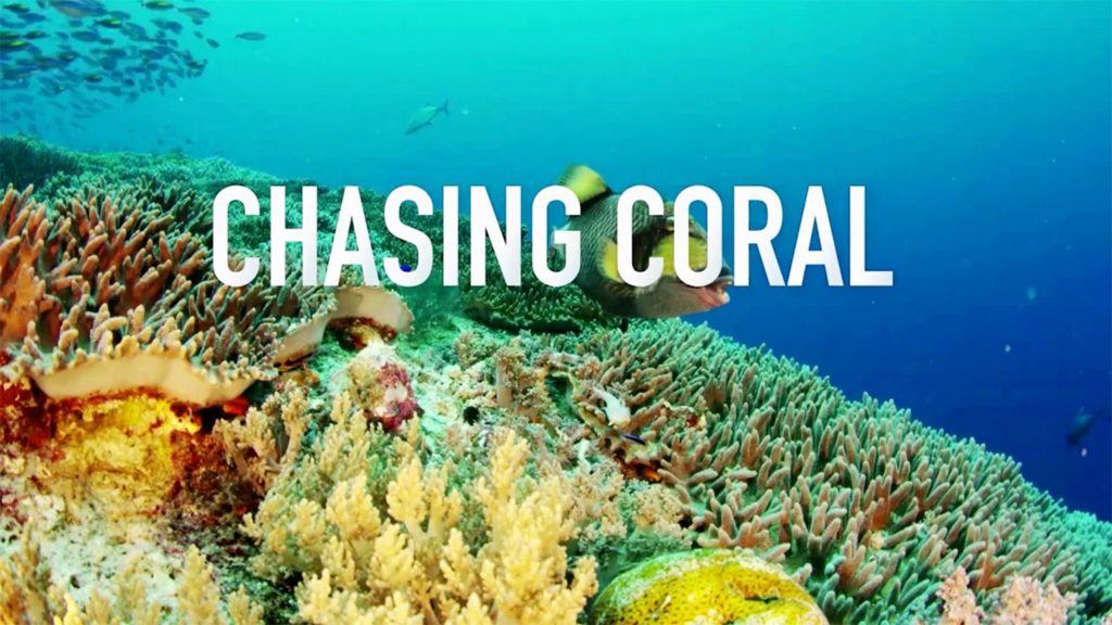 CASE STUDY: The Making of 'Chasing Coral' - Film Independent